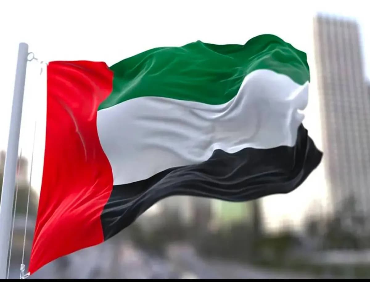 UAE Aims to Promote Stability in the Region