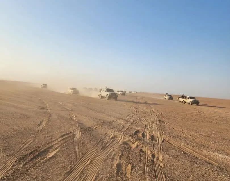 Yemeni Forces Progress in Al-Jawf and Ma'rib