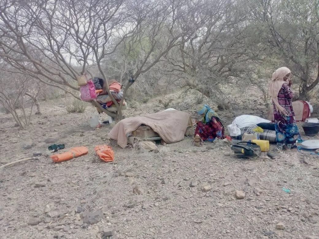 Houthi advances lead to arrests in Yemen