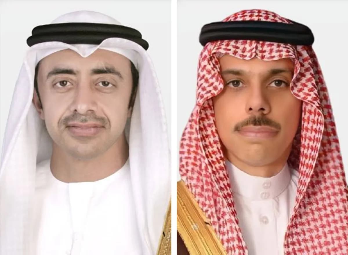 وزيرا خارجية السعودية والإمارات يناقشان خفض التوتر