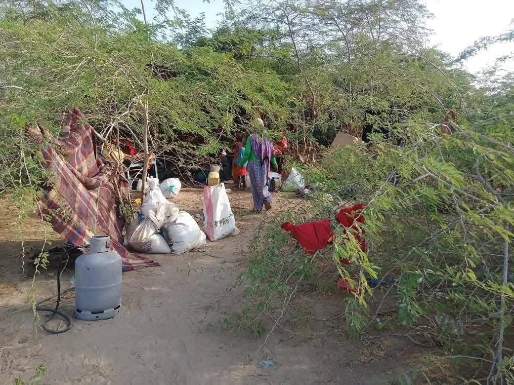 Houthi attacks displace 71,000 children