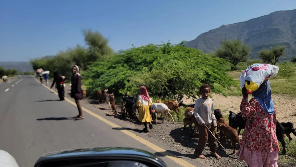 UN warns of worsening crisis in Taiz