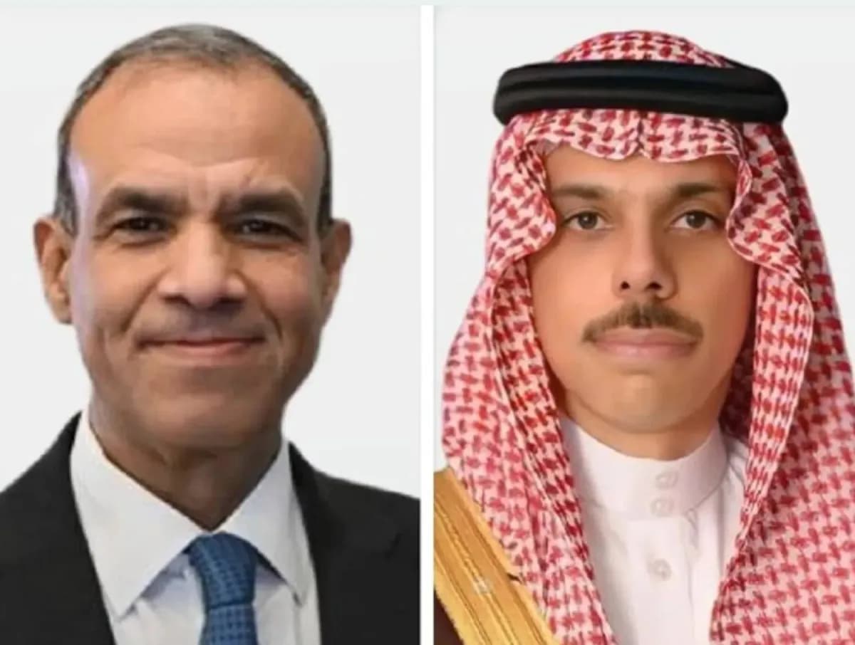 تنسيق سعودي مصري لتعزيز أمن المنطقة