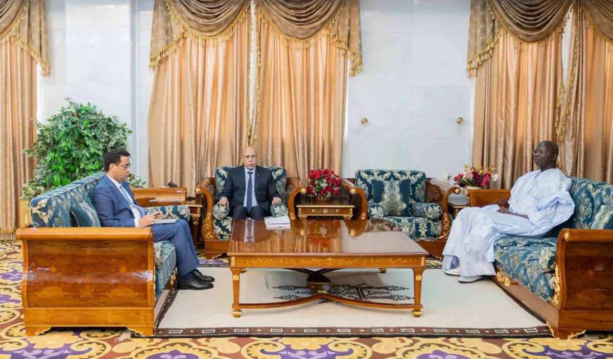 Mauritanian president reviews power outage