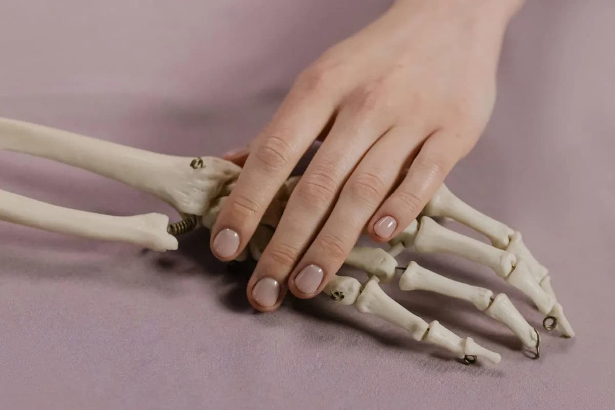 Vitamins K2 and D in Bone Health