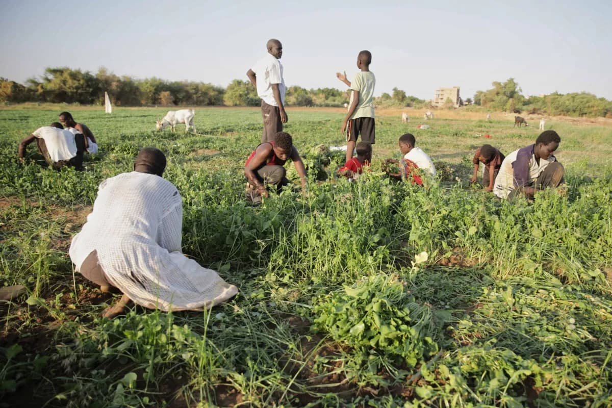 Daily workers face Sudan conflict