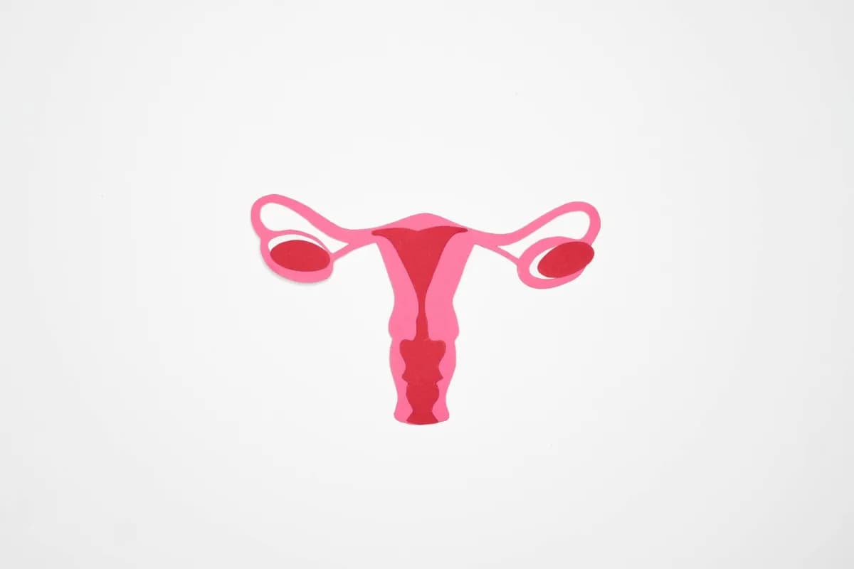 Research: Ovary remains active after menopause