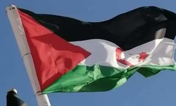إسبانيا: برلمان الكناري يدعم حق الصحراويين