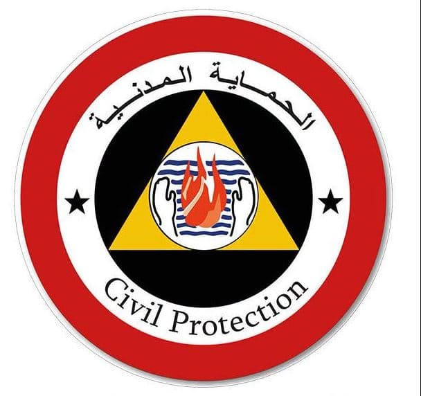الحماية الجزائرية تستنفر لمكافحة حرائق سرايدي