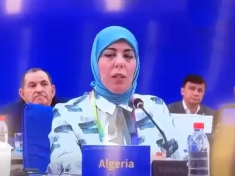 الجزائر تؤكد مشاركتها في منظمة الذكاء الاصطناعي