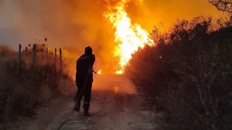 Algerian Civil Protection Douses 110 Fires in a Day