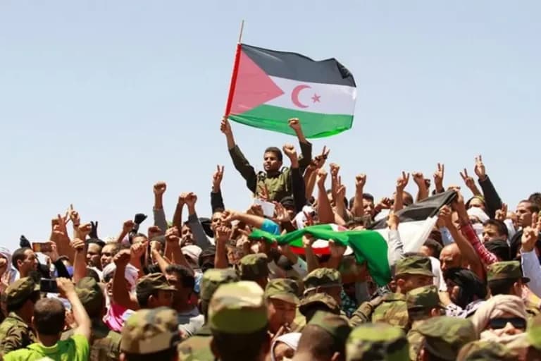 Global Condemnation of Sahrawi Targeting