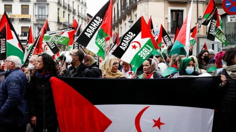 Canary Group Urges Continued Support for Sahrawi