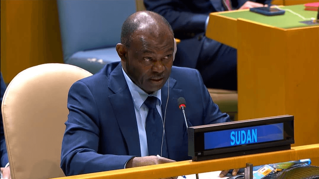 UAE's Role in Sudan Humanitarian Crisis