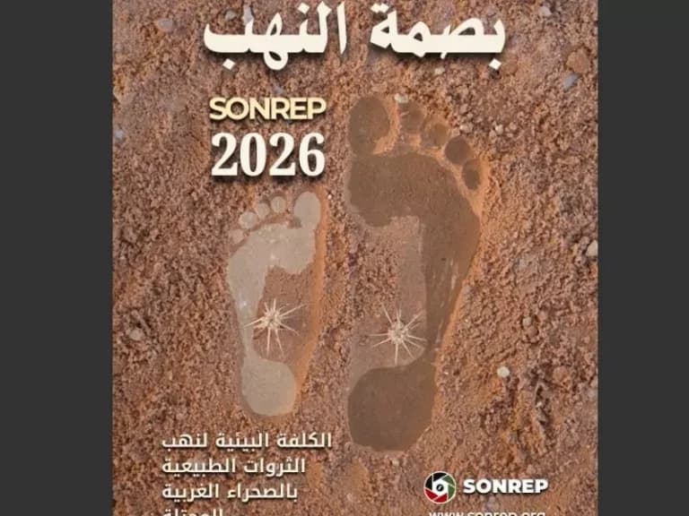 التكاليف البيئية لنهب موارد الصحراء الغربية