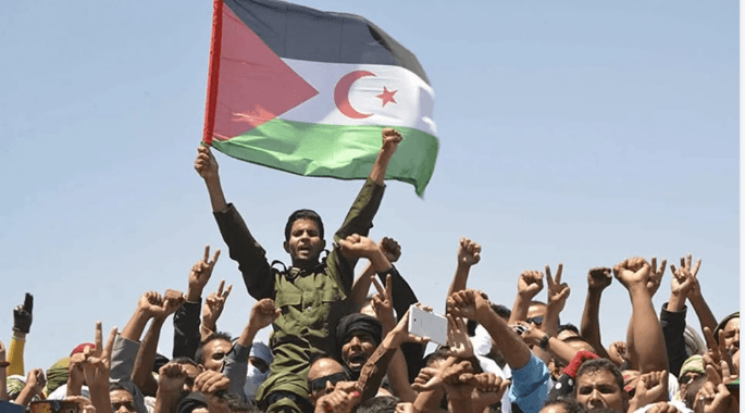 اللجنة الرابعة تؤكد أن الصحراء الغربية قضية تصفية استعمار