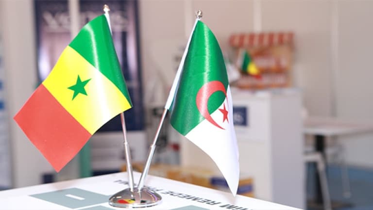 اتفاق بين سونلغاز وسينيليك لتعزيز التعاون الطاقوي