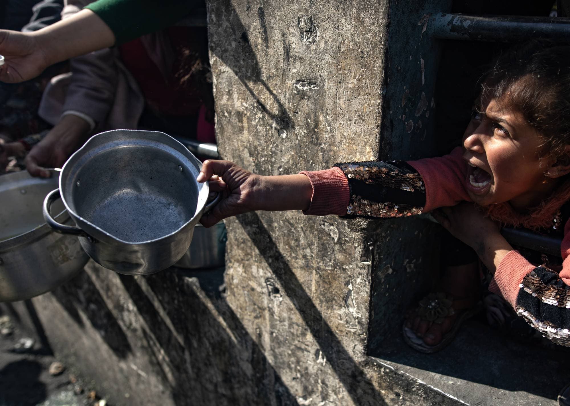 WFP cuts Gaza aid affecting 500,000