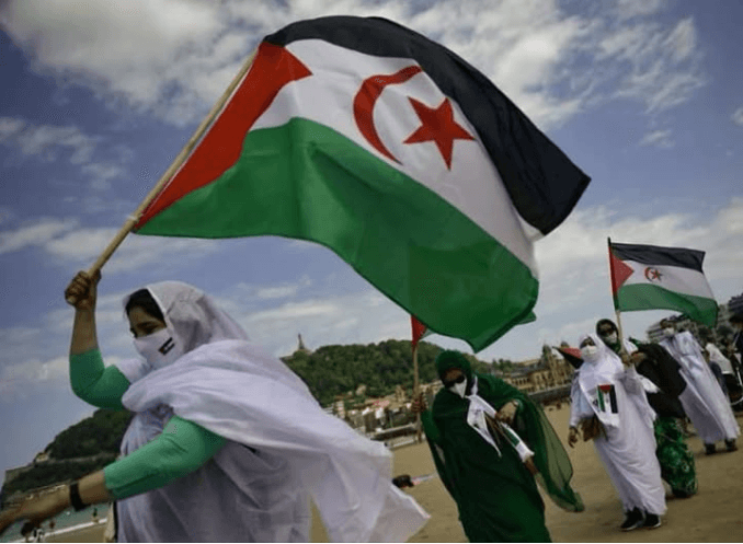 معرض بلوغانو يبرز نضال المرأة الصحراوية