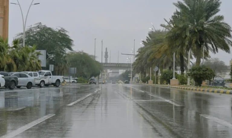 Forecast of heat and rainwaves