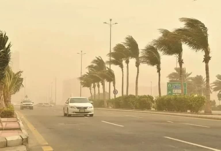 Meteorology forecasts winds in Riyadh and regions