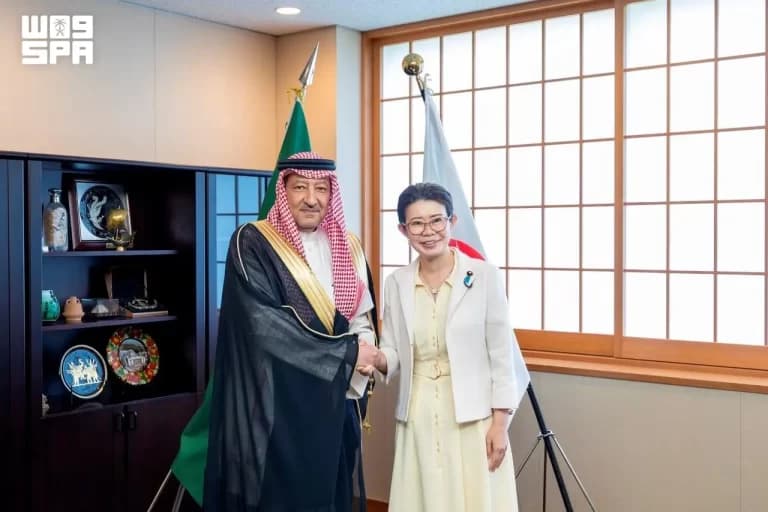 Deputy Foreign Minister Meets Japan's Foreign Affairs State Minister