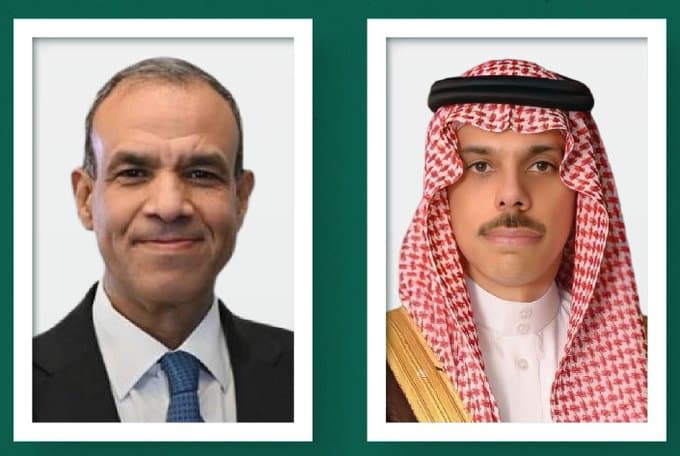 Egyptian Foreign Minister discusses recent developments with his counterparts
