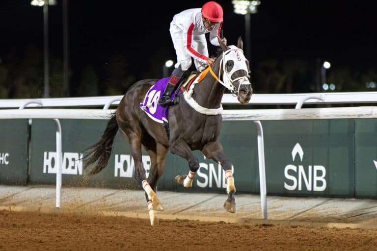 Five winners in Week Four of Taif Racing