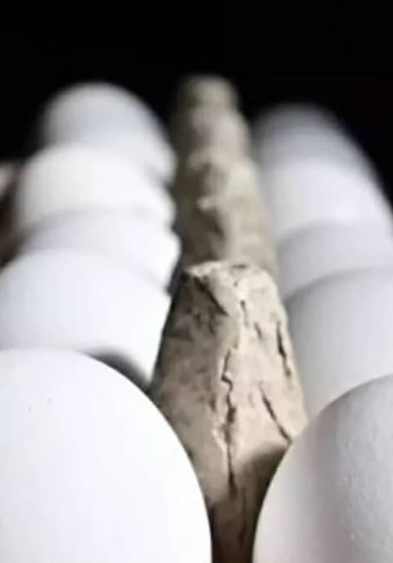 53 Million Eggs to Resolve a Case