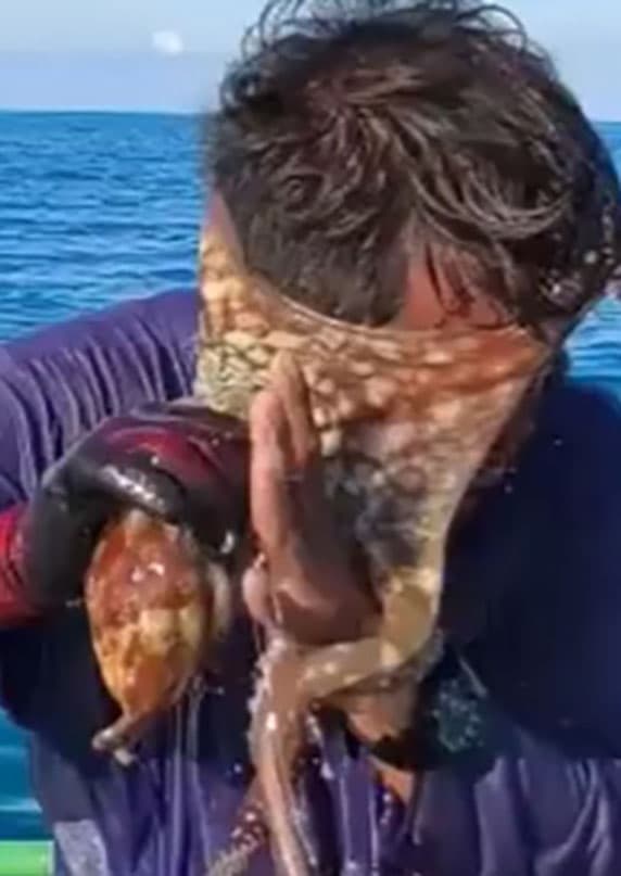 أخطبوط يقاوم صياداً فلبينياً
