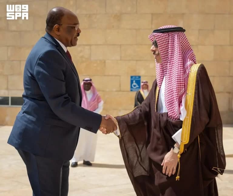 Foreign Minister Meets Sudanese Counterpart