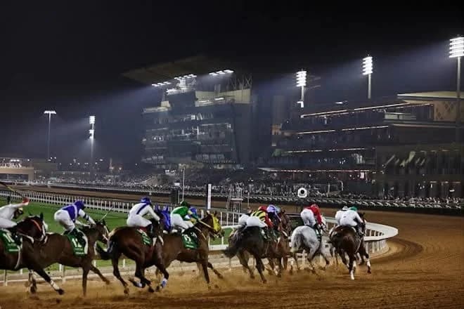 Riyadh Season boosts horse racing competitiveness