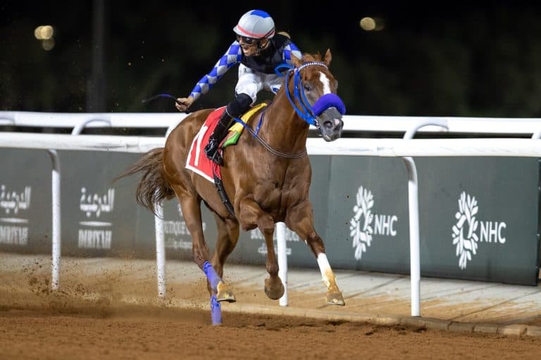 Al-Waggaad wins Makkah Emirate Cup
