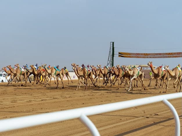 ابن جلوي يكرم أبطال اللقايا وفريق ترف يفوز بالمهرجان