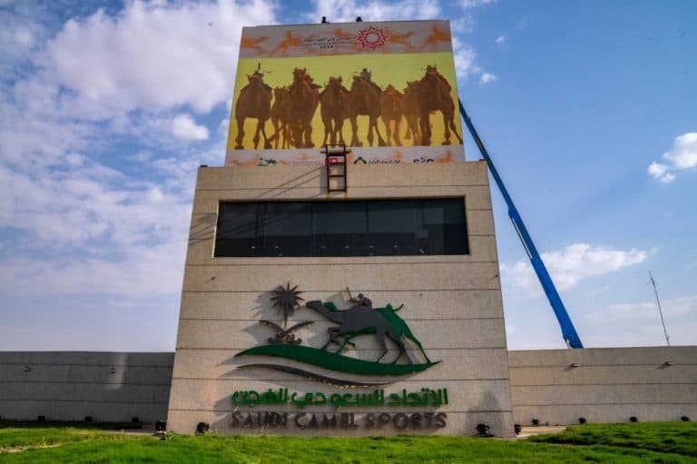 Taif Crown Prince Camels Festival Boosts Economy