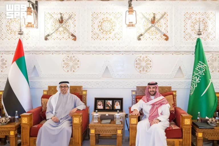 وزير الدفاع ومنصور بن زايد يتبادلان تعزيز التنسيق