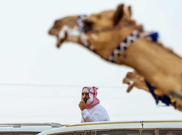 Saudi Owners Conclude Record at Crown Prince Festival