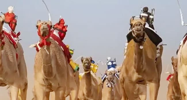 King supports launch of Hajj and Umrah research forum