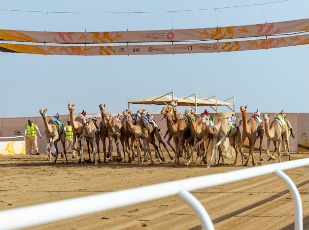 انطلاق منافسات الجذاع غدا