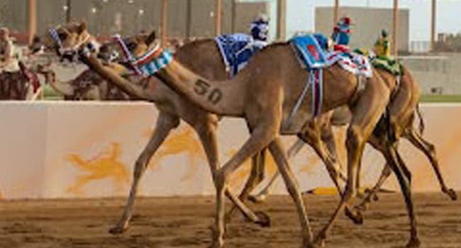 وعد الدهاسي وتغيّر معادلة الميدان