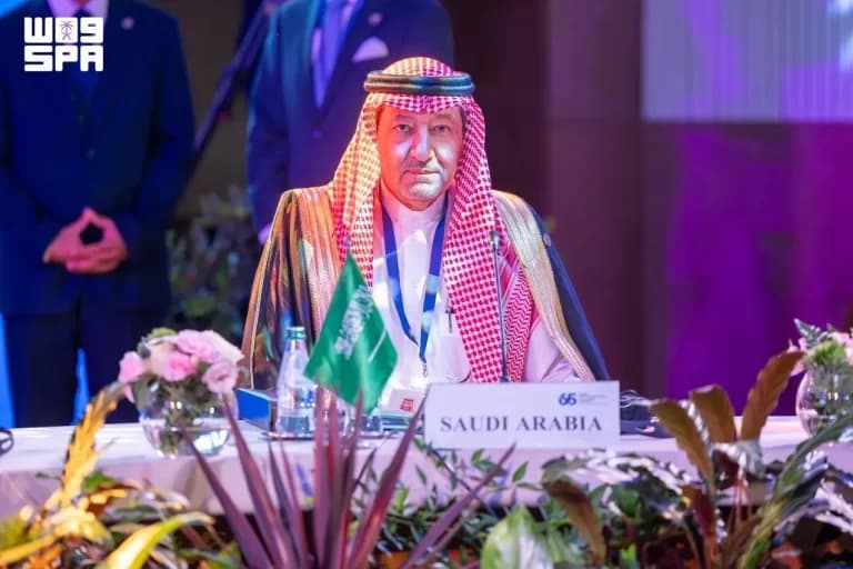 Deputy Foreign Minister Attends NAM Meeting