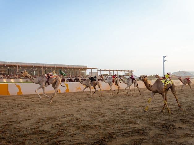 Famous Silence Leads Camels to Victory