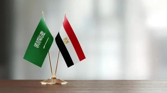 Kingdom-Egypt trade surpasses 82B