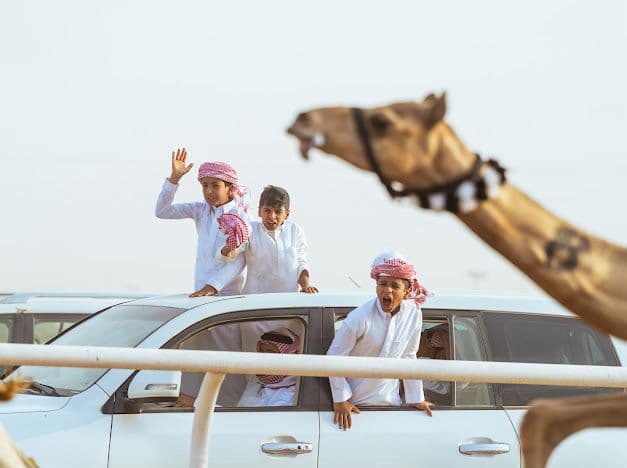 Saudi Camel Races Highlight Development Plans