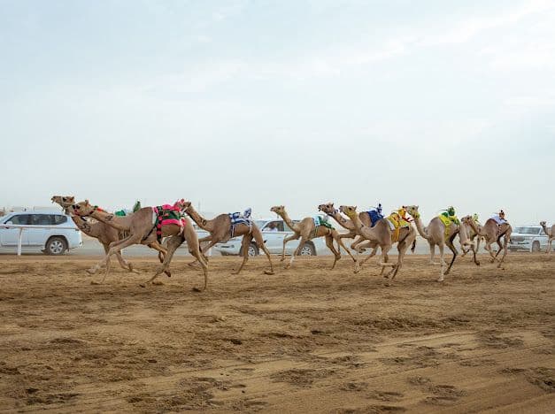 Al-Ittihad Hijjn Launches Radio for Waleed Al-Ahd Race