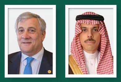 وزير الخارجية يناقش الأوضاع مع نظيره الإيطالي