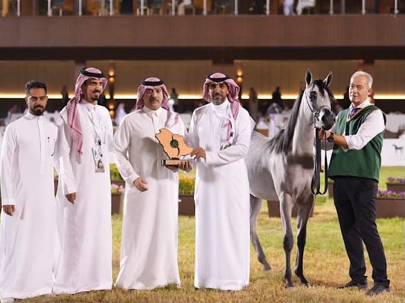 Arabian Horse Beauty Championship Ends in Riyadh