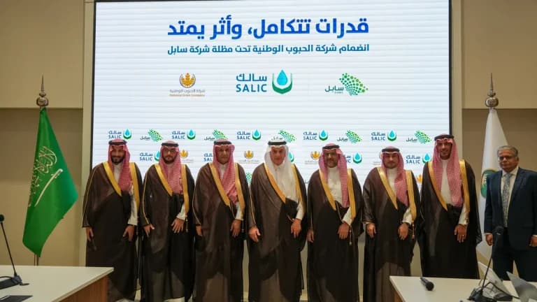 Saaleq transfers National Grain to Sabel