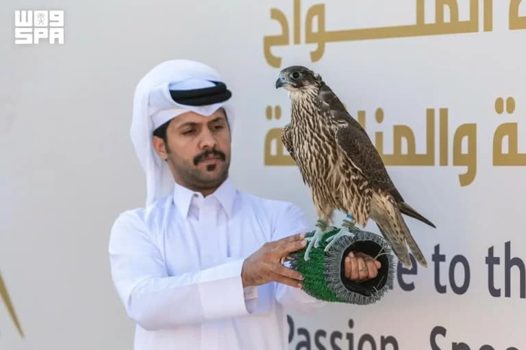 Elite rounds end with Falcon sailboat race