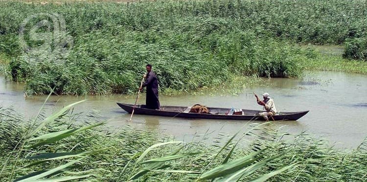 Iraq Faces Biodiversity Loss with 134 Species Endangered